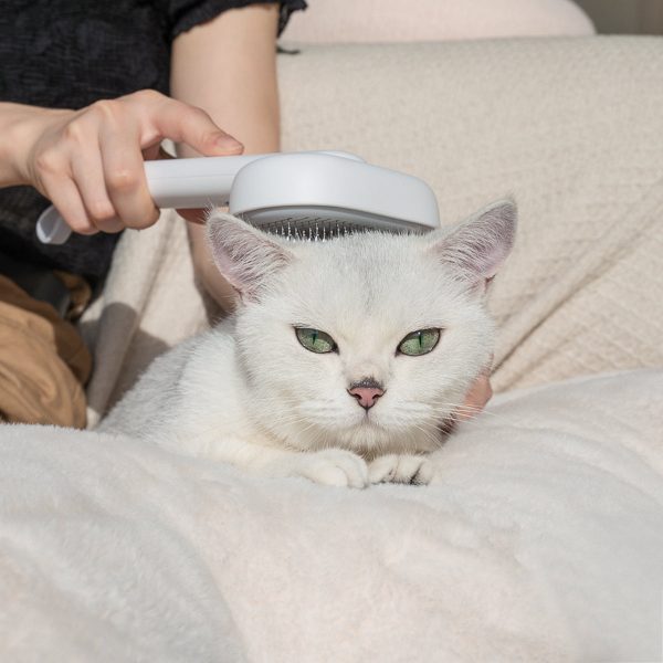 aumuca Selbstreinigende Zupfbürste für Katze - Image 2